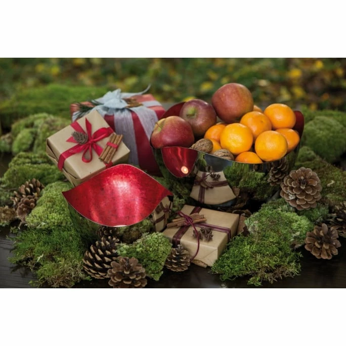 Best deal 👍 Fink Living Fink LUCILE Schale - ø 19 Cm - Höhe 11 Cm - Vernickelt 🎉 4 Best deal 👍 Fink Living Fink LUCILE Schale - ø 19 Cm - Höhe 11 Cm - Vernickelt 🎉 - Image 2