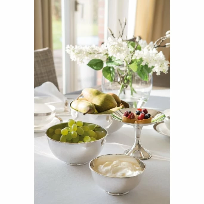 Brand new 😀 Fink Living Fink OXFORD Schale - Ø 13,5 Cm - Höhe 6 Cm - Silberfarben 😍 4 Brand new 😀 Fink Living Fink OXFORD Schale - Ø 13,5 Cm - Höhe 6 Cm - Silberfarben 😍 - Image 2