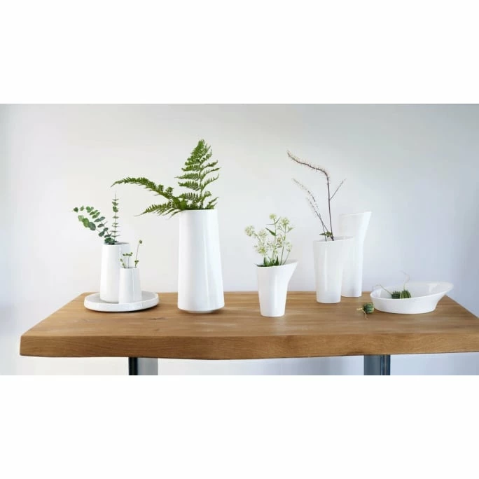 Budget 🌟 ASA FLOAT Schale - Ø 32,5 Cm - H 5 Cm - Weiß 🎁 5 Budget 🌟 ASA FLOAT Schale - Ø 32,5 Cm - H 5 Cm - Weiß 🎁 - Image 3