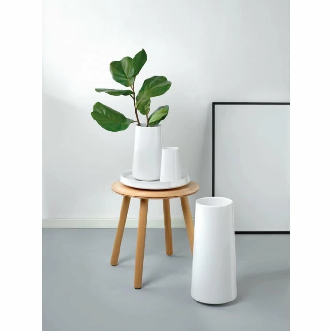 Budget 🌟 ASA FLOAT Schale - Ø 32,5 Cm - H 5 Cm - Weiß 🎁 6 Budget 🌟 ASA FLOAT Schale - Ø 32,5 Cm - H 5 Cm - Weiß 🎁 - Image 4