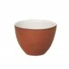 Brand new 🛒 Urban Nature Culture Share Your Food Schale - Ø 11,5 Cm - Höhe 5 Cm - Terracotta-weiß ✨ 2 Brand new 🛒 Urban Nature Culture Share Your Food Schale - Ø 11,5 Cm - Höhe 5 Cm - Terracotta-weiß ✨ -Rosendahl-Shop unnamed file 502
