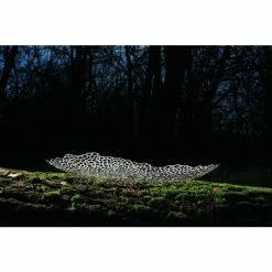 Outlet 🔔 Alessi OPUS Tafel-Schale - 60x34x7,5 Cm - Edelstahl 🔥 7 Outlet 🔔 Alessi OPUS Tafel-Schale - 60x34x7,5 Cm - Edelstahl 🔥 -Rosendahl-Shop unnamed file 61